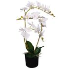 Orchidea Artificiale con Vaso 65 cm Bianca