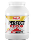 WHY Sport Perfect Blend 90 Barattolo 750g