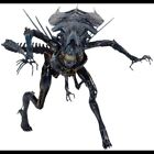 -=] NECA - Aliens Xenomorph Alien Queen Deluxe Figure [=-