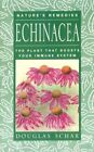 Echinacea: The Plant That Boosts Your Immune System