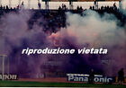 FOTOTIFO ULTRAS - ULTRAS VIOLA