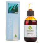 Erbex Propoli Tintura Madre 50ml