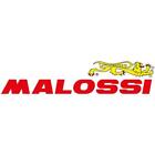 Malossi Complessivo bulloneria per marmitta SUPERMOTO MHR