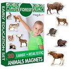 Magneti bambini MAGDUM Animali della foresta -20 GRANDI calamite frigorifero -