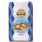 Farina Pizzeria 25 KG Pizza Napoletana Pane Lunga Lievitazione Blu Mulino Caputo