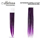 EXTENSION CLIP CAPELLI 60 CM CON 2 CLIP CLIPS NATURALI VIOLA BICOLORE MELISSA