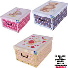 SCATOLA BAULE CONTENITORE BOX CARTONE CAMBIO STAGIONE BIANCHERIA Cm 51X37X24h