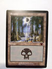 swamp guru land mtg NM