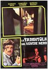 LA TARANTOLA DAL VENTRE NERO MANIFESTO SOGGETTONE MORRICONE 1971 LOBBY CARD