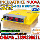 INCUBATRICE AUTOMATICA 56 UOVA GIRAUOVA PROFESSIONALE + KIT SVEZZAMENTO PULCINI