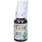 Epid Propoli Plus Spray Orale Specchiasol 15Ml