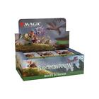 Bloomburrow - Play Booster Box 36 Buste Magic ITA mtg