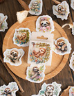 46 Stickers kawaii Slowly sloth - scrapbooking animals