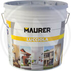 IDROPITTURA TEMPERA "LUCCIOLA" MAURER 5lt