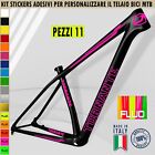 Kit 11 Adesivi telaio bici UNIVERSALI mtb Corsa cross protezione TORNANTE 2402