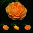 Stampo in silicone 3d fiore Rosa ” Agosta” per sapone candele figurine di gesso