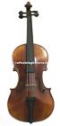 Gewa violino Maestro 51 Stradivari 4/4