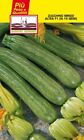 15 Semi di Zucchino Ibrido Altea F1