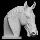 Statua Scultura Testa di cavallo equestre Arte Arredamento bianco statue