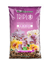 TerComposti Terriccio Orchidee 10L BIO con Corteccino per Epifite, Terricole