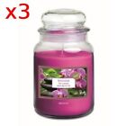 3pz Candele Profumate Zucchierera Benessere 550gr 100 Ore   Stile Yankee Candle