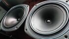 Tannoy Mercury M20 Driver Bass Pair