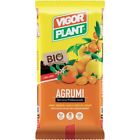 Vigorplant terriccio per Agrumi con torba Irlandese 20 lt