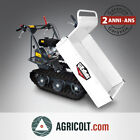 Motocarriola GIEMME MT 300 SBS motore Briggs&Stratton da 6.5 hp trasporter