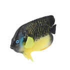 Floating Fish Artificial Plants for Aquarium Accessories Premium Material Decor