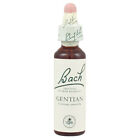 Gentian Fiori Di Bach® Original 20ml