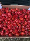 250 Grammi Peperoncino Habanero Red  Fresco ECCEZZIONALE!NB:Chiedi disponibilità