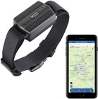 Collare GPS Tracker per Cani Cane Da Caccia Bestiame, TK935 Localizzatore GPS Ap