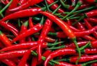 Peperoncino rosso intero essiccato al sole Ceylon biologico 100% puro natural...