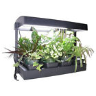 KIT COLTIVAZIONE ORTO GIARDINO INDOOR SPEZIE, ORTAGGI, FIORI (NO AEROGARDEN)