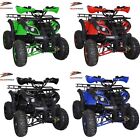 QUAD DANKO 125CC KXD R7 125CC NUOVO