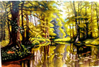 QUADRO CANOVACCIO MEZZO PUNTO PICCOLO DA RICAMARE 40x60 PAESAGGIO LUNGO il FIUME