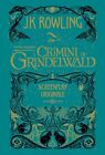 ANIMALI FANTASTICI. I CRIMINI DI GRINDELWALD. SCREENPLAY ORIGINALE  - ROWLING