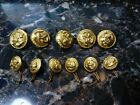 Vintage WB Co Eagle Buttons Stars USA Military Gold Anchor Lot 11 SER 176