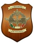 CREST 4° REGGIMENTO ALPINI - PARACADUTISTI RANGER