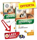 Bayer Advantage per GATTI e Piccoli Animali - 4 pipette - Antiparassitario