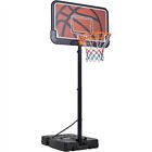 Canestro da Basket con Tabellone Regolabile 233 - 308 cm da Interno/Esterno Nero