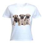 Carlino Cuccioli DONNA T-Shirt - Cane Cani Animali Regalo - MISURE S Alla XL