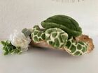 🍄 Peluche Doudou La Tortue Aquarium La Rochelle By Nature Planet Long 30 Cm