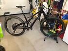 mtb 29 carbonio usata Specialized Stumpjumper Evo