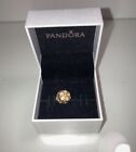 Ciondolo Pandora Charm Magnolia openwork