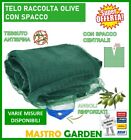 RETE TELO RACCOLTA OLIVE-NOCCIOLE ANTISPINA CON SPACCO OCCHIELLATO RINFORZATO