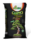 Terriccio Substrato professionale per bonsai Giappo Akadama grano fine 2,5 Lt