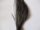 metz premium cock cape neck quarter dark dun hackle feathers fly tying