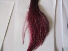 metz premium cape top neck quarter grizzle claret hackle feathers fly tying