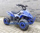 QUAD LINUS R6 125CC